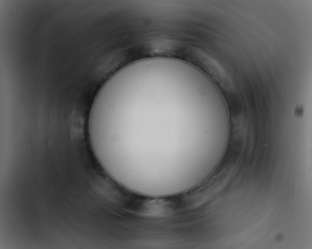 X0000103940269200809261732