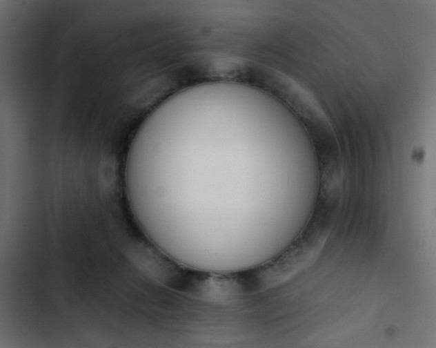 X0000103940270200809261732