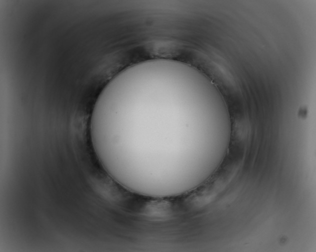 X0000103940271200809261732