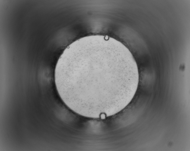 X0000103940272200809261732