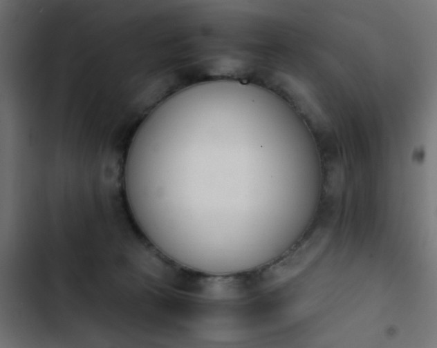 X0000103940273200809261732