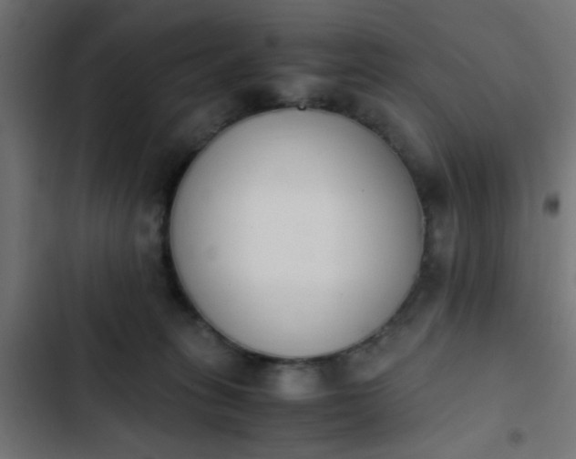 X0000103940275200809261732