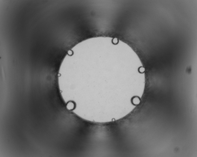 X0000103940276200809261732