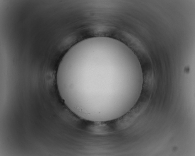 X0000103940278200809261732