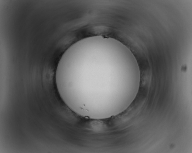 X0000103940279200809261732