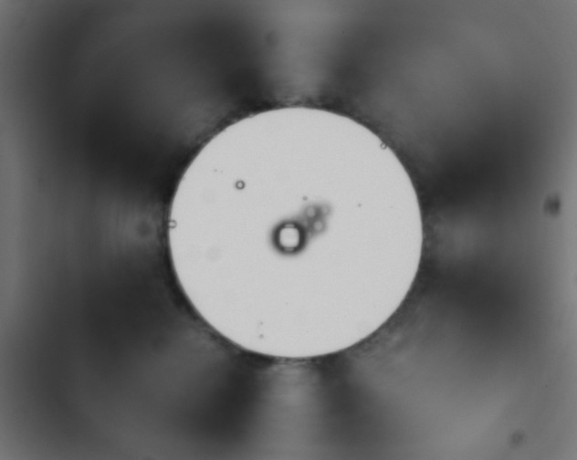 X0000103940280200809261732