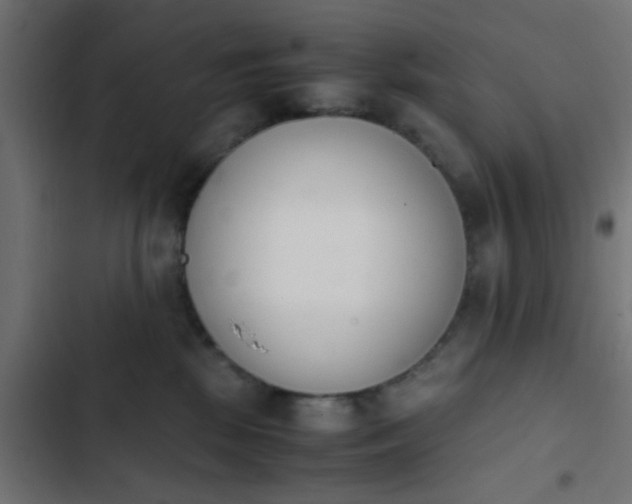 X0000103940281200809261732