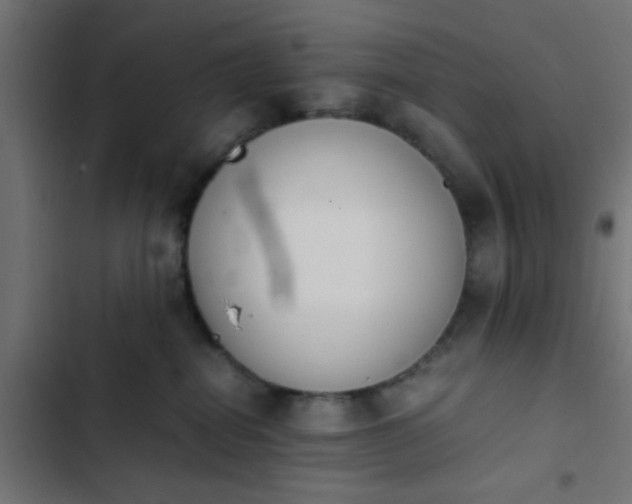 X0000103940282200809261732