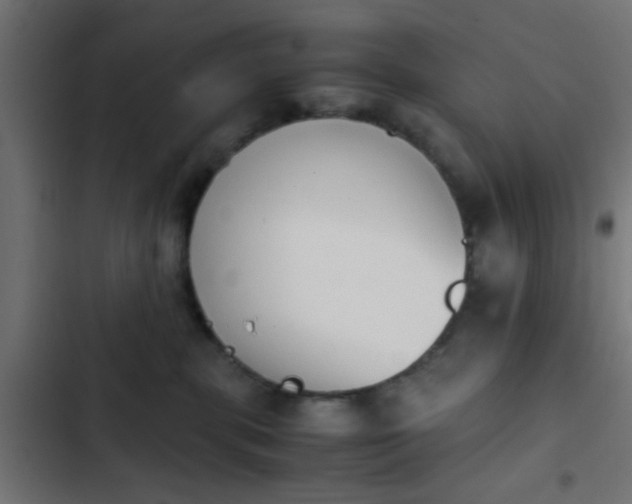 X0000103940283200809261732