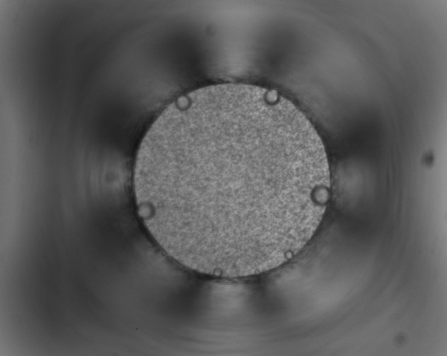 X0000103940284200809261732