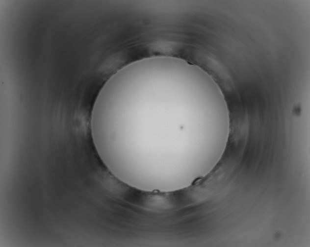 X0000103940285200809261732