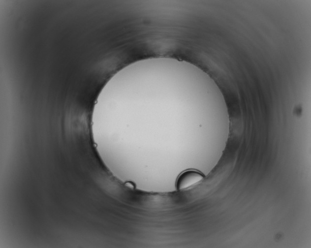 X0000103940286200809261732