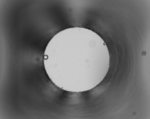 X0000103940288200809261732