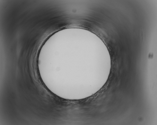 X0000103940289200809261731