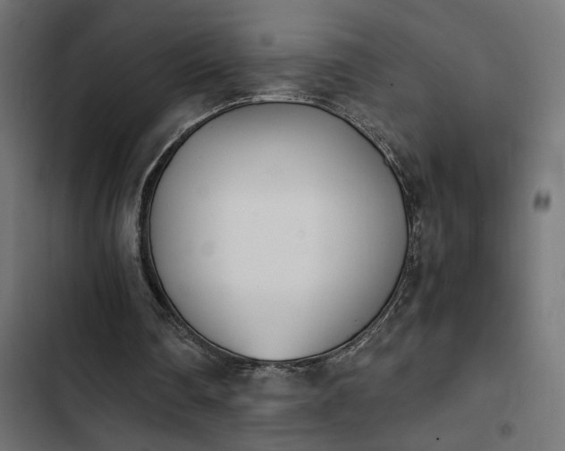 X0000103940290200809261731