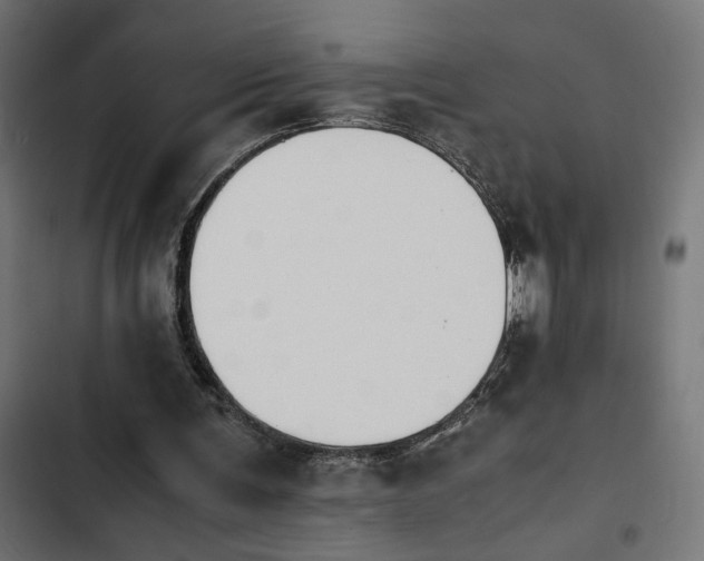 X0000103940291200809261731