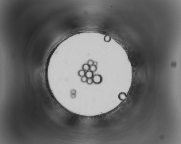 X0000103940293200809261731