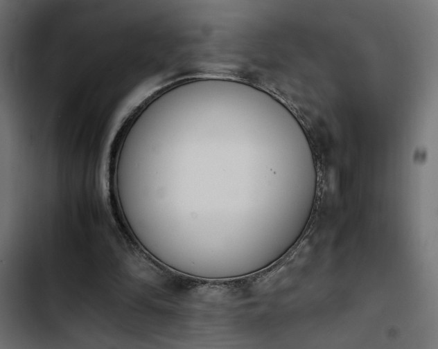 X0000103940294200809261731