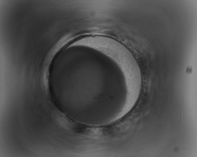 X0000103940295200809261731