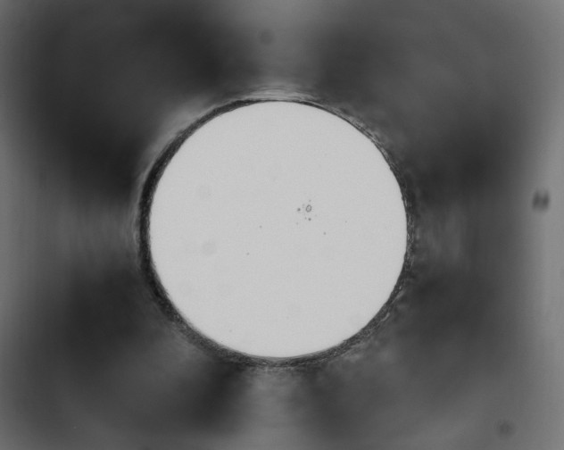 X0000103940296200809261731