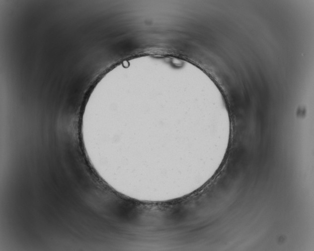 X0000103940297200809261731