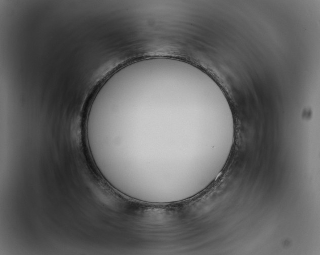 X0000103940298200809261731