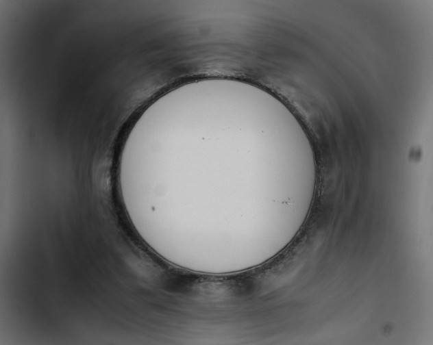 X0000103940299200809261731