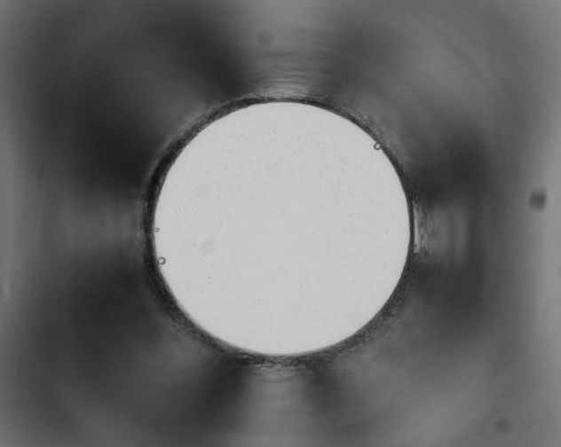 X0000103940300200809261731