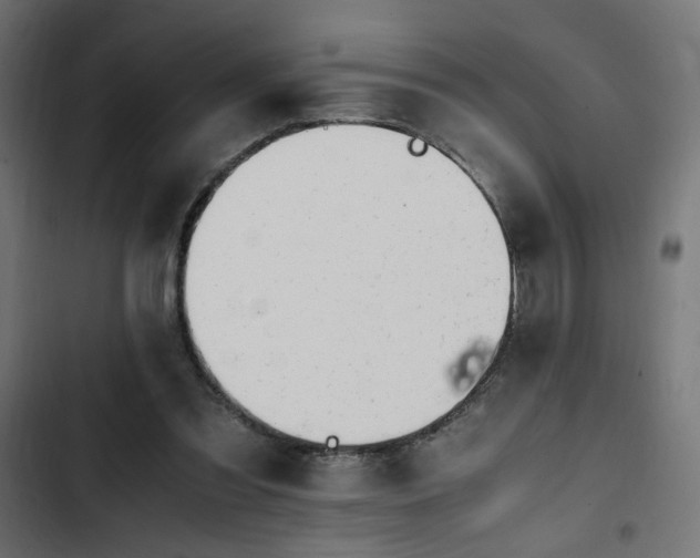 X0000103940301200809261731