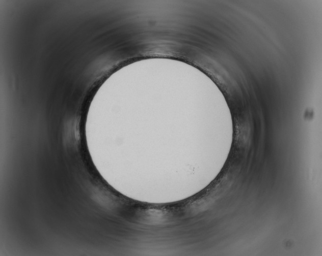 X0000103940302200809261731