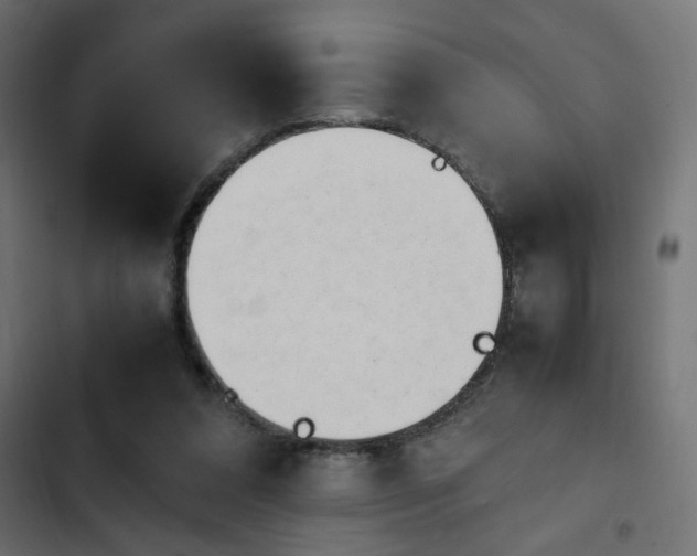 X0000103940304200809261731