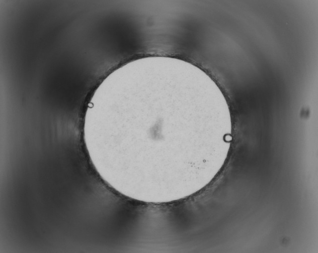 X0000103940305200809261731