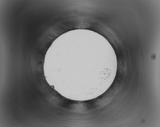 X0000103940307200809261731