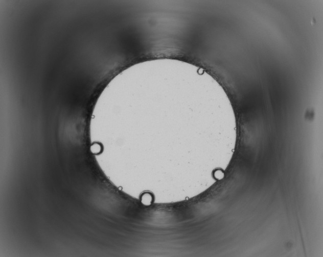 X0000103940308200809261731