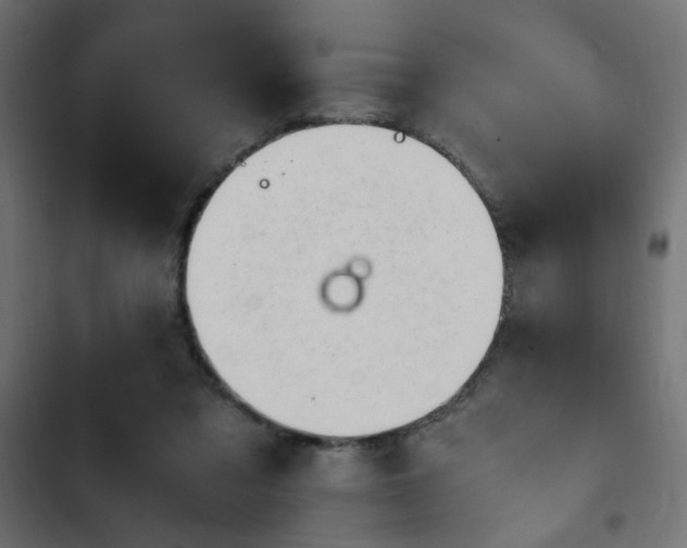 X0000103940309200809261731