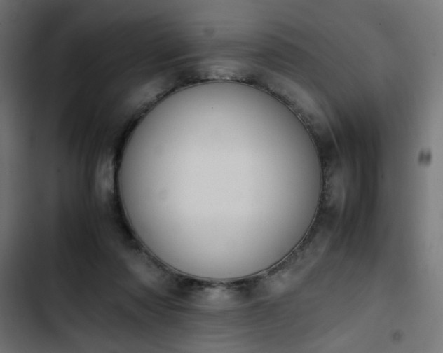 X0000103940310200809261731