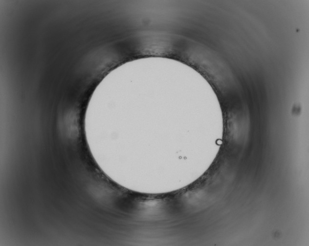 X0000103940312200809261731