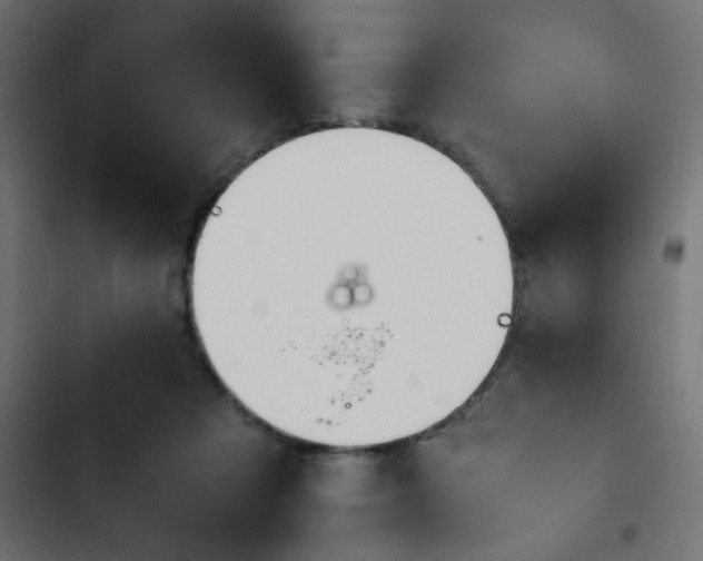 X0000103940313200809261731