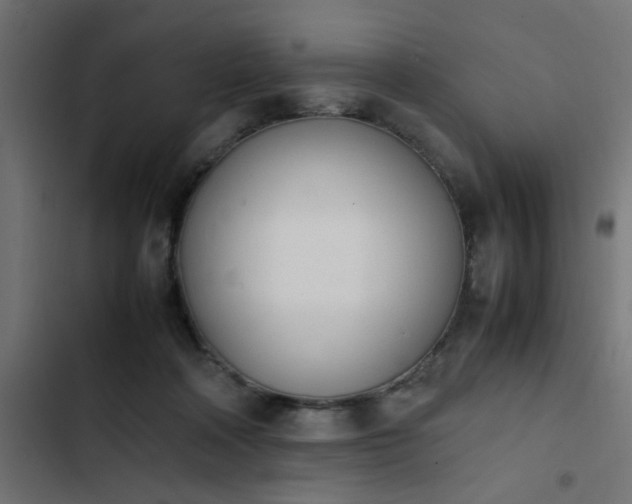 X0000103940314200809261731