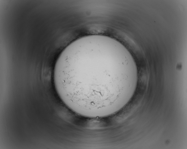 X0000103940315200809261731