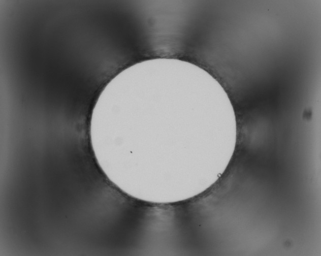 X0000103940317200809261731