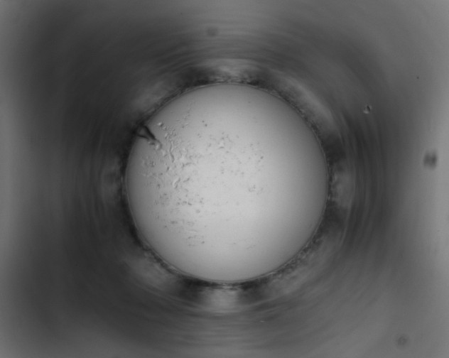 X0000103940318200809261731