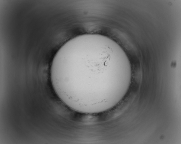 X0000103940319200809261731