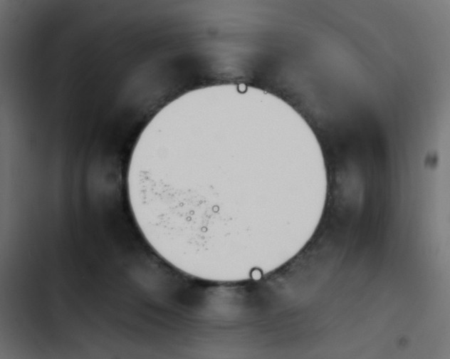 X0000103940320200809261731