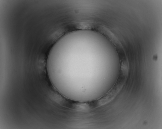 X0000103940322200809261731