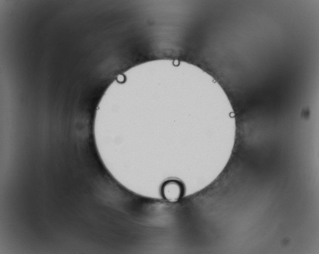 X0000103940323200809261731