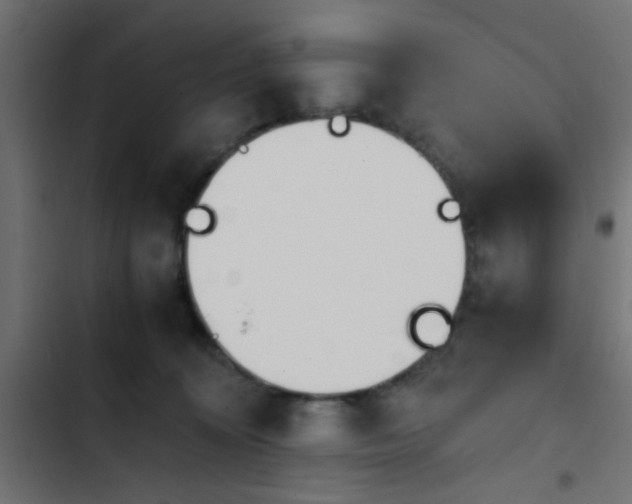 X0000103940324200809261731