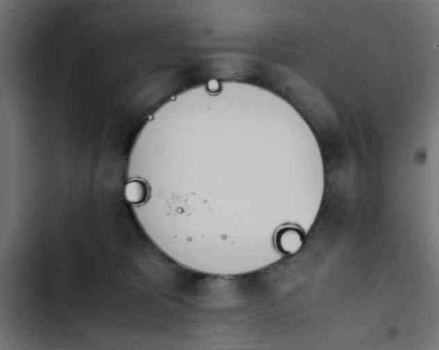 X0000103940325200809261731