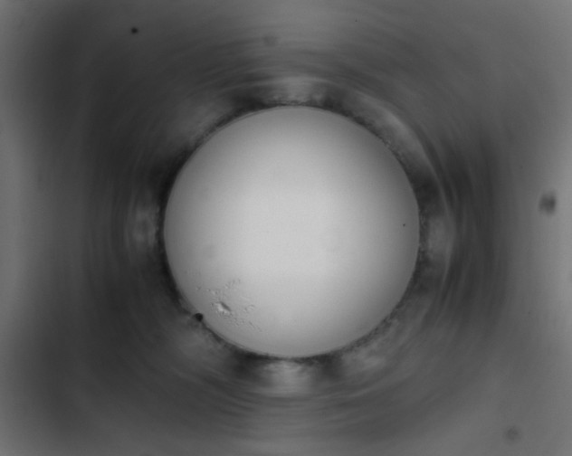 X0000103940326200809261731