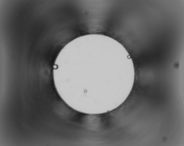 X0000103940327200809261731